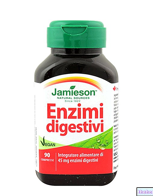 Enzymes digestives
