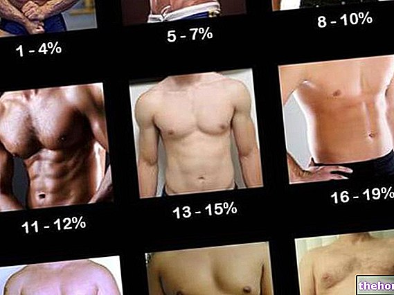 Grasa corporal: porcentaje de grasa corporal