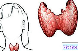 Антитела и щитовидна жлеза: Антитела срещу щитовидната жлеза