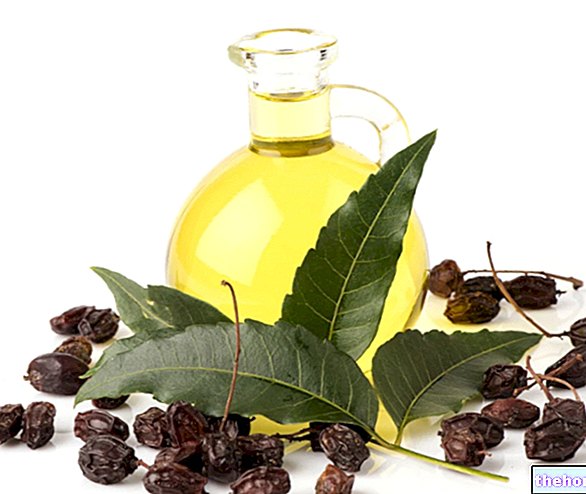 Aceite de neem: que es, usos, propiedades
