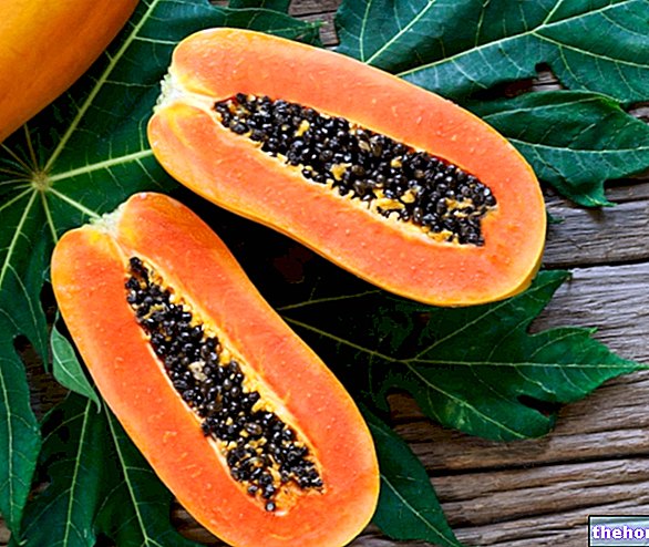 Propiedades de la papaya en la medicina herbaria: ¿qué son?