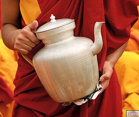 Buddhistiske munke urtete: Hvad er det?