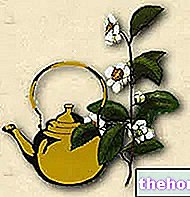 תה צמחים להרזיה
