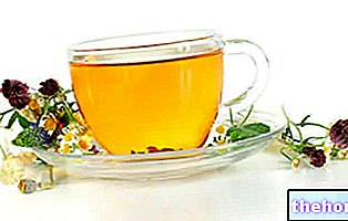 Žolelių arbatos: poveikis ir funkcijos
