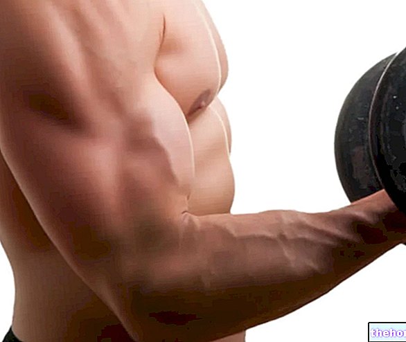 Evitar lesiones en el gimnasio: antebrazos y bíceps