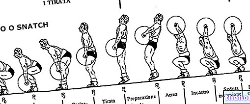 Utilisation d'exercices d'haltérophilie dans l'entraînement sportif