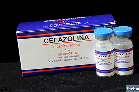ACEF ® Céfazoline sodique