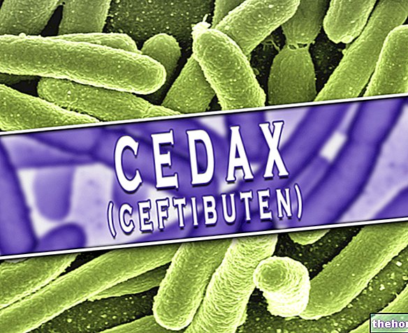 CEDAX ® Ceftibuten