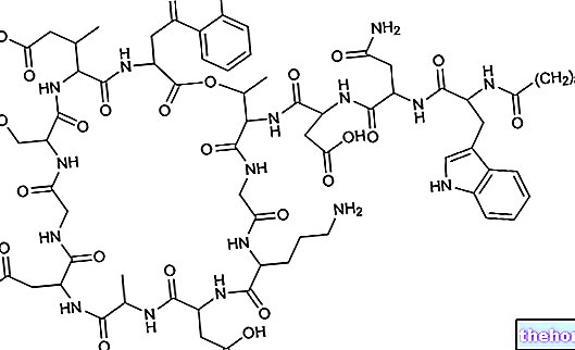 Daptomycine