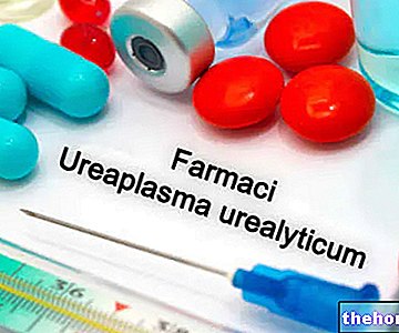 Medicin til behandling af ureplasma -infektioner