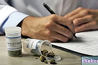 Marijuana à usage thérapeutique