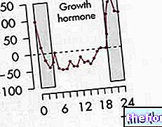 GH növekedési hormon