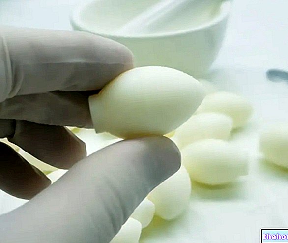 Candida -munasolut: aktiiviset periaatteet ja niiden käyttö