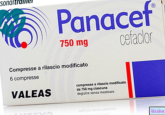 ilaçlar - PANACEF ® Sefaklor