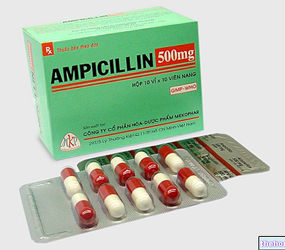 PENTREXYL ® ampicilinas