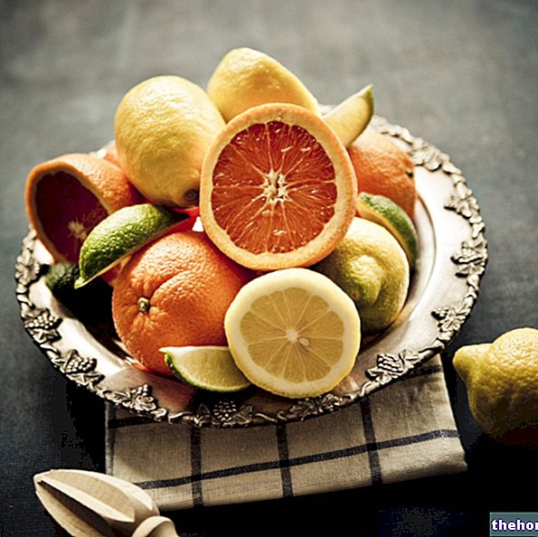 Frutas cítricas y aceites esenciales