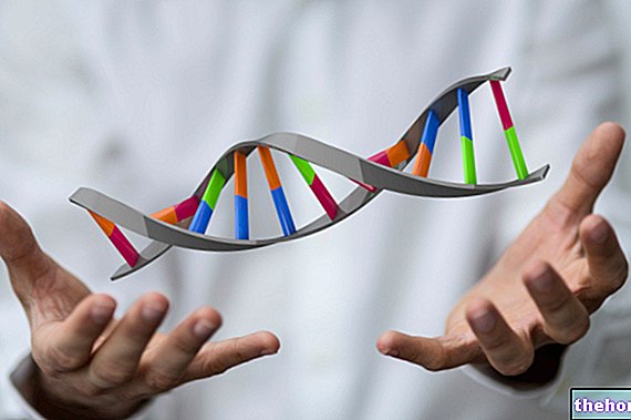 Biotechnologie, facteurs génétiques et sélection