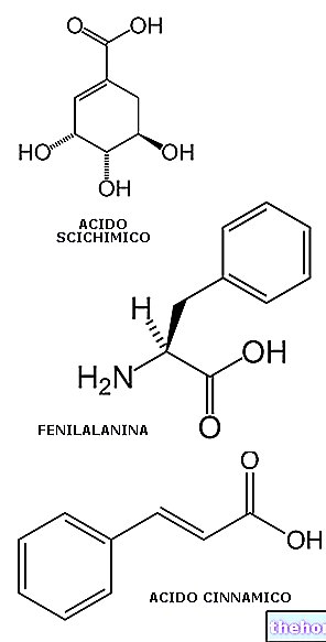 Médicaments caractérisés par la présence d'ingrédients actifs issus de la voie de l'acide scichimique