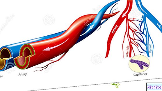 Arterije in arteriole