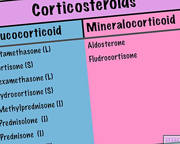 Corticoïdes et glucocorticoïdes