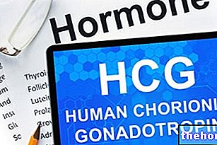 موجهة الغدد التناسلية المشيمية البشرية (HCG)