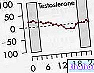 टेस्टोस्टेरोन