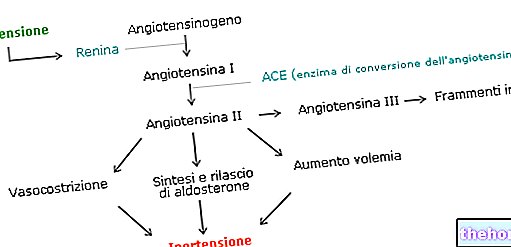 Rénine - Angiotensine