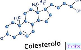 Sinteza kolesterola - biosinteza kolesterola
