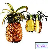 Ananas - Kasvitieteellinen kuvaus ja koostumus