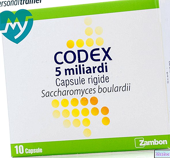 Codex - Notice d'emballage