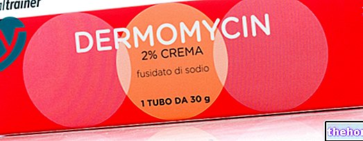 Dermomycine - Notice