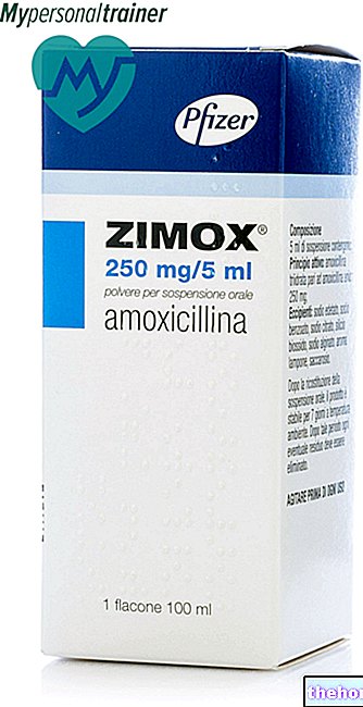 Zimox - Notice d'emballage