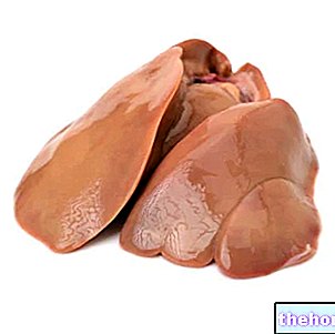 Hígado de ganso