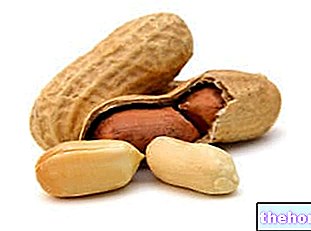 Kacang tanah: Sifat Pemakanan, Peranan dalam Makanan dan Cara Menggunakannya di Dapur