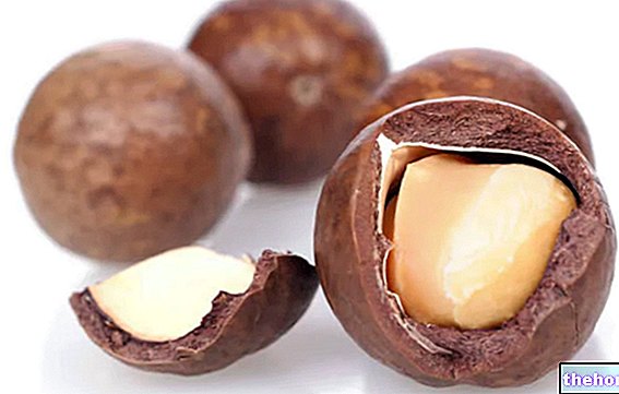 Makadamiapähkinöitä