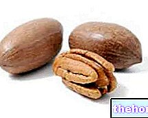 Pekaanipähkinät