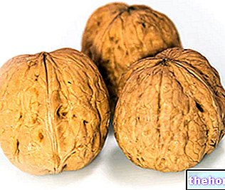 Kreeka pähklid