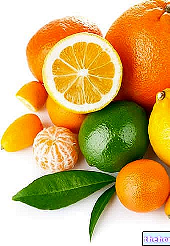 Citrusové ovocie