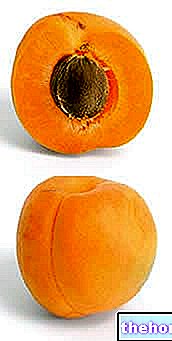 fruit - Abricots : Propriétés et Bienfaits