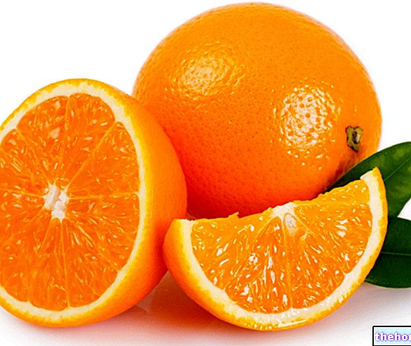 Orange : Nutrition et Phytothérapie