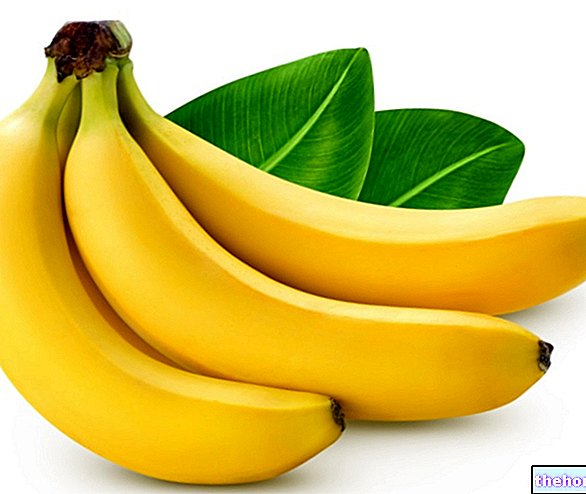 Bananes : toutes les propriétés