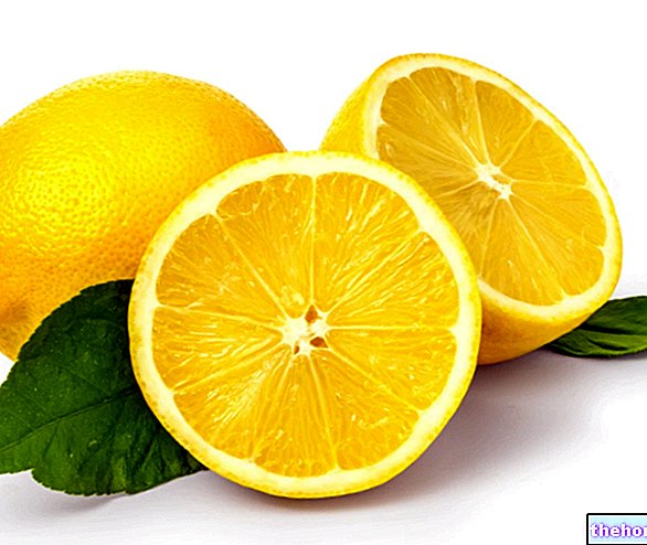 Citrons : Nutrition et Cuisine