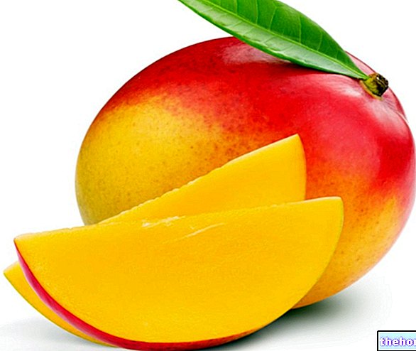 Манго (плодове): Хранителни свойства