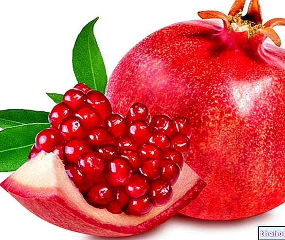 Granatno jabolko: prehranske lastnosti, uporaba v prehrani, vloga v kuhinji in namigi iz botanike