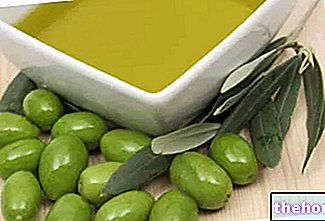 Oliivi oliiveja