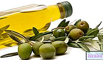 Olivy - Nutričné ​​vlastnosti olív