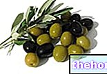 Реколта от маслини