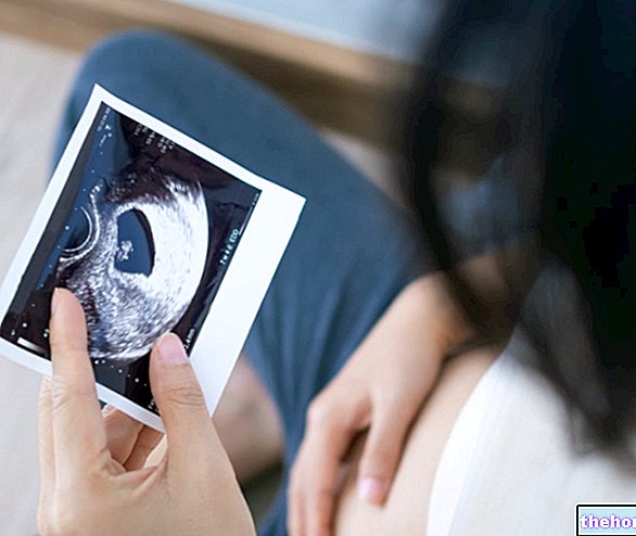 Examens à faire pendant la grossesse au cours du premier trimestre