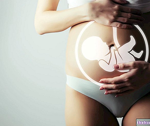 Nezdružljivost mater in ploda: imunizacija proti Rh v nosečnosti