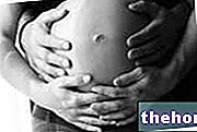 Primer y segundo trimestre del embarazo